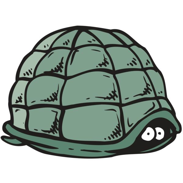 AR5 Turtle 10 RQC Thumbnail